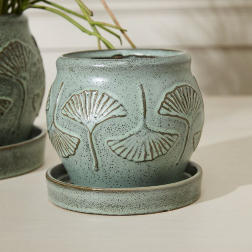 Biloba Pot with Saucer
