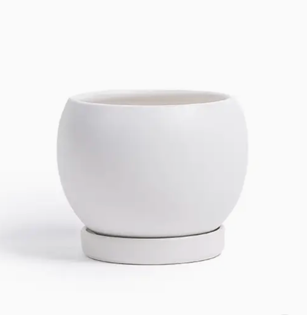 Bolle Momma Pots - 6.5"