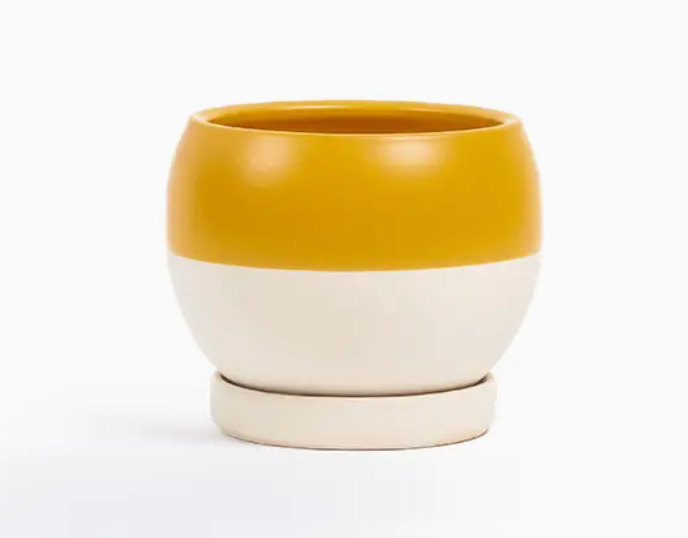Bolle Momma Pots - 4.5"