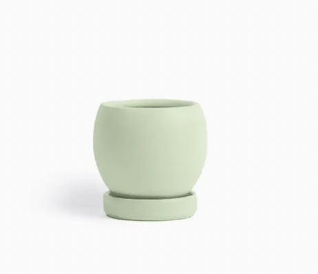Bolle Momma Pots - 4.5" - The Plant Lady SF