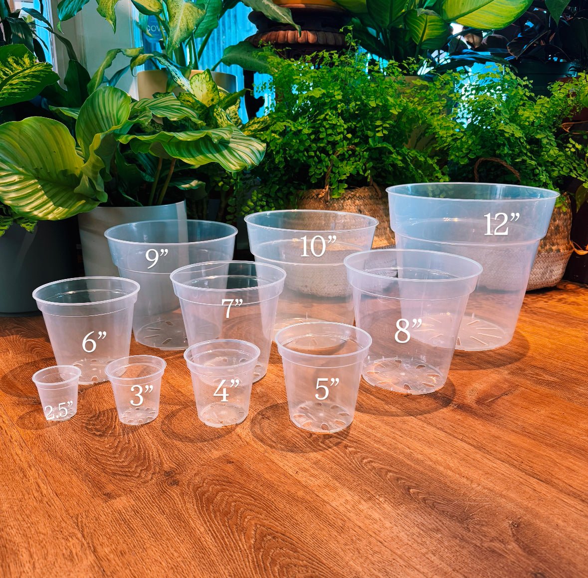 pot for pot plant Clear Plastic Nursery Pots