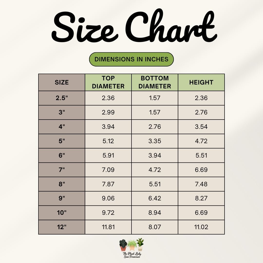 Clear Plastic Nursery Pots - The Plant Lady SF