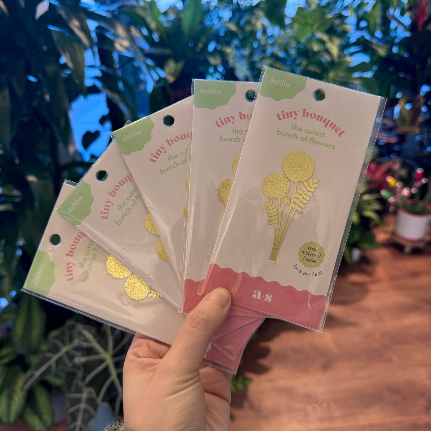 Dahlia Tiny Bouquet - The Plant Lady SF