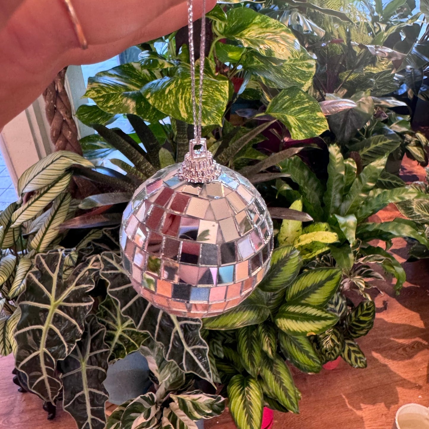 Disco Ball Ornament - The Plant Lady SF