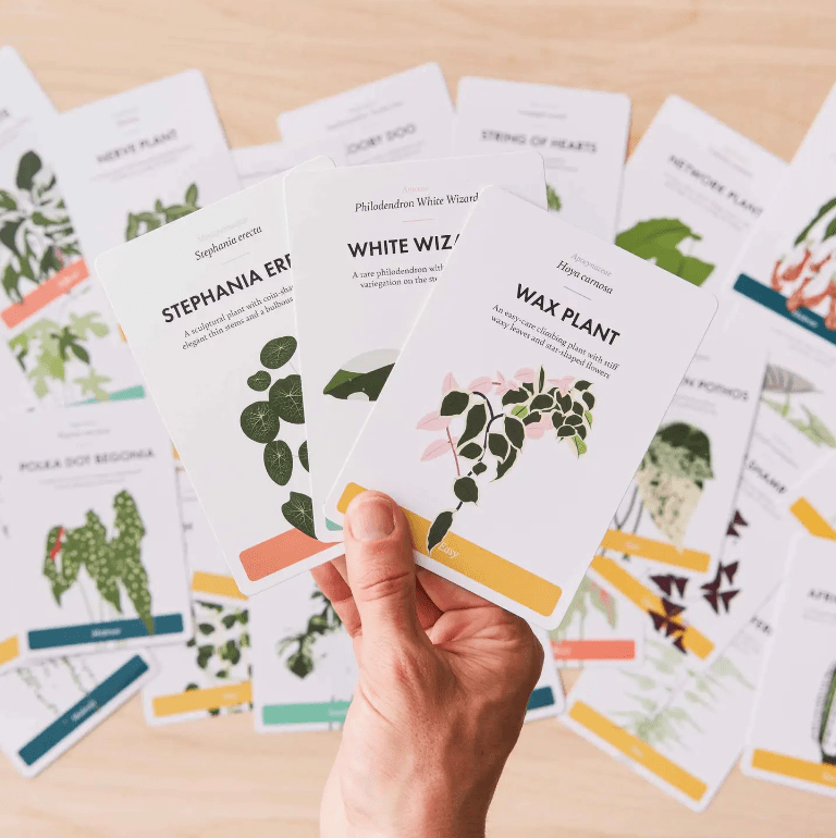 house plant care cards Houseplant Care Cards
