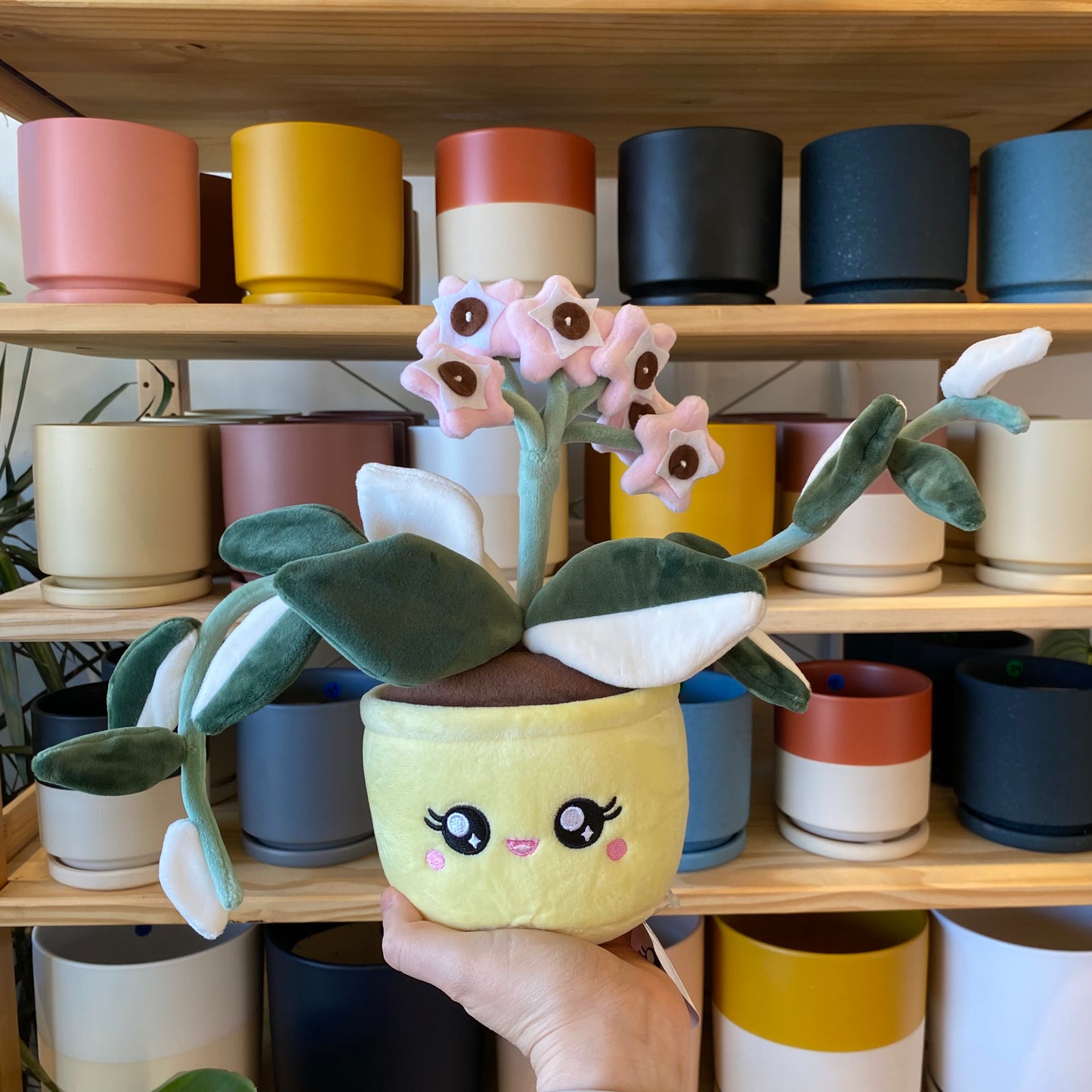 Hoya Plushie by Blushiez