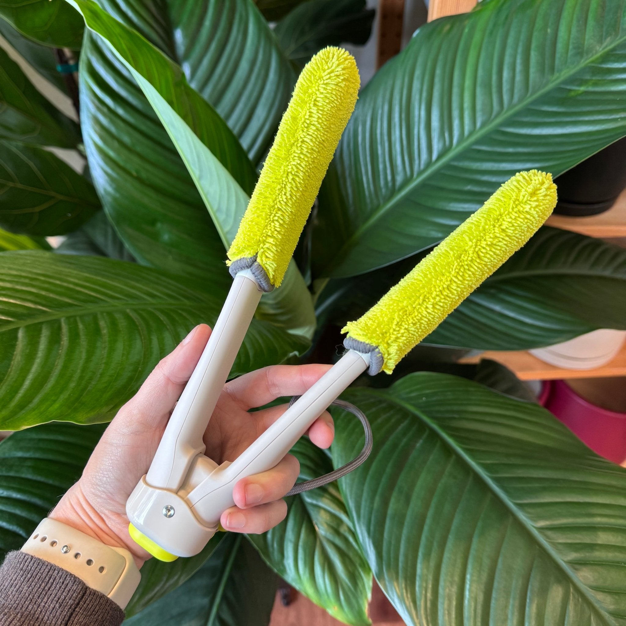 Leaf Sweep – The Plant Lady SF