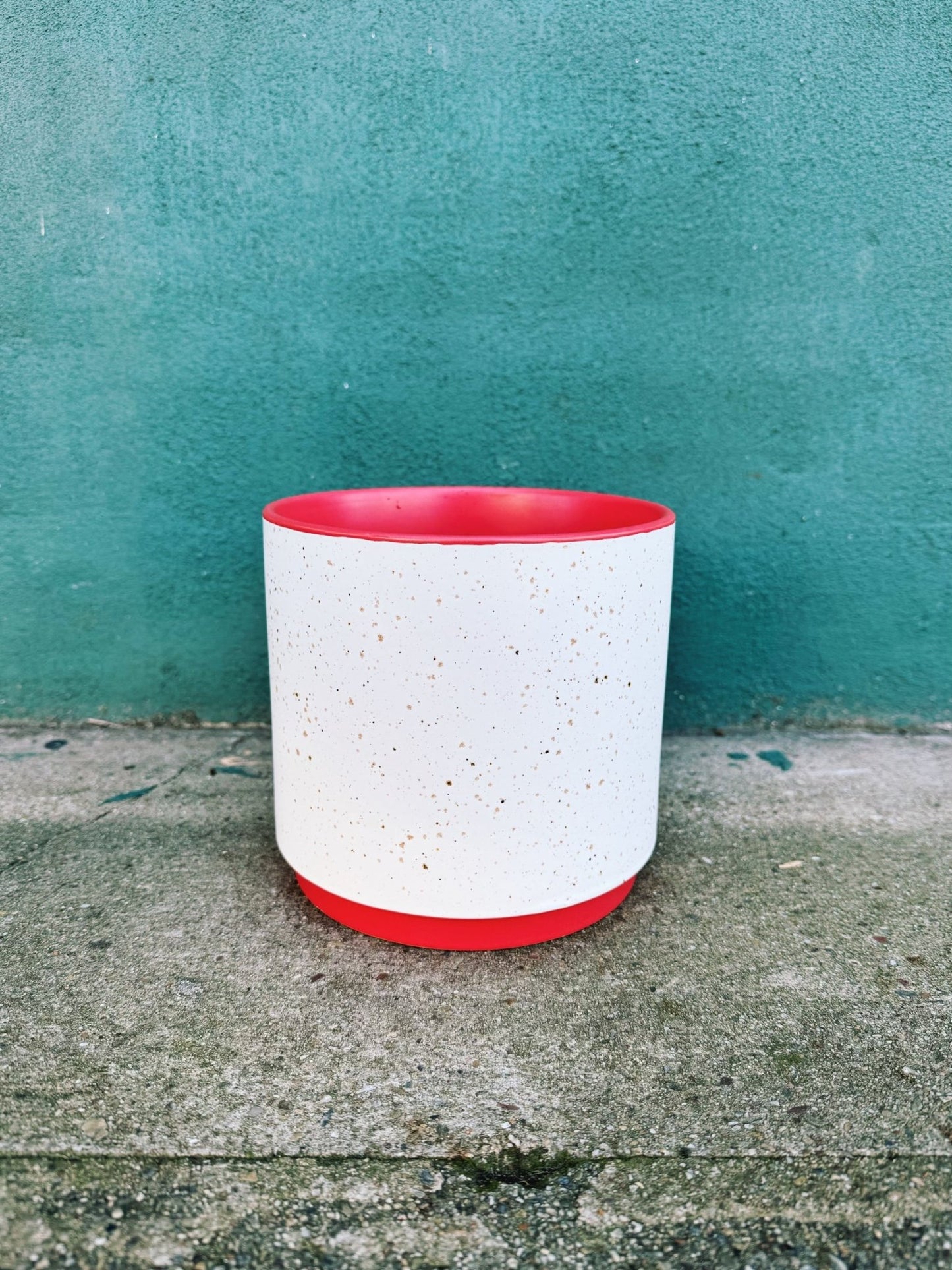 Leavenworth Pot - The Plant Lady SF