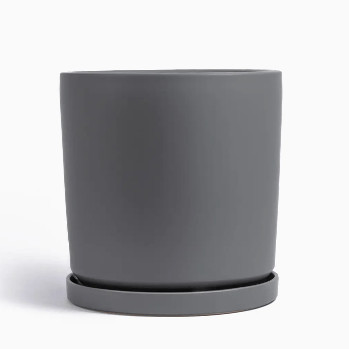 Momma Pots - 10.5" - The Plant Lady SF