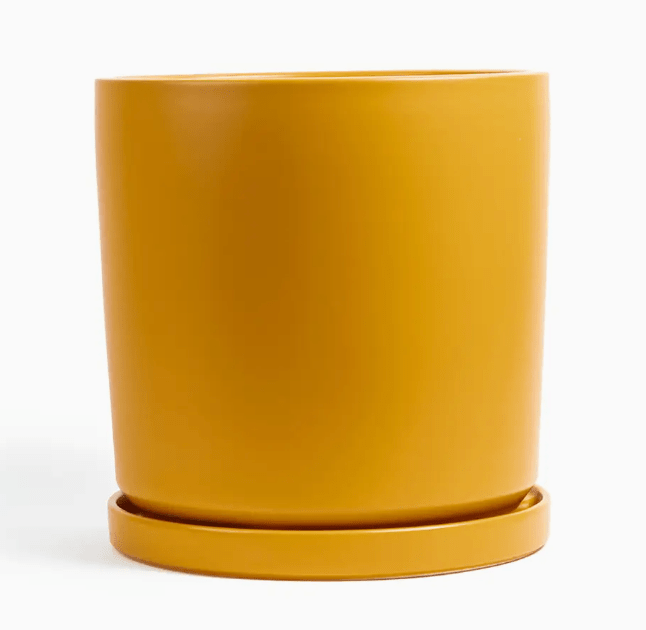 Momma Pots - 8.25" - The Plant Lady SF