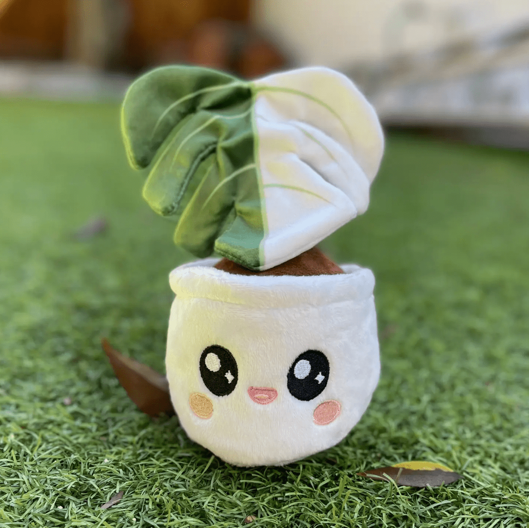 monstera dogs Monstera Dog Toy – The Plant Lady SF