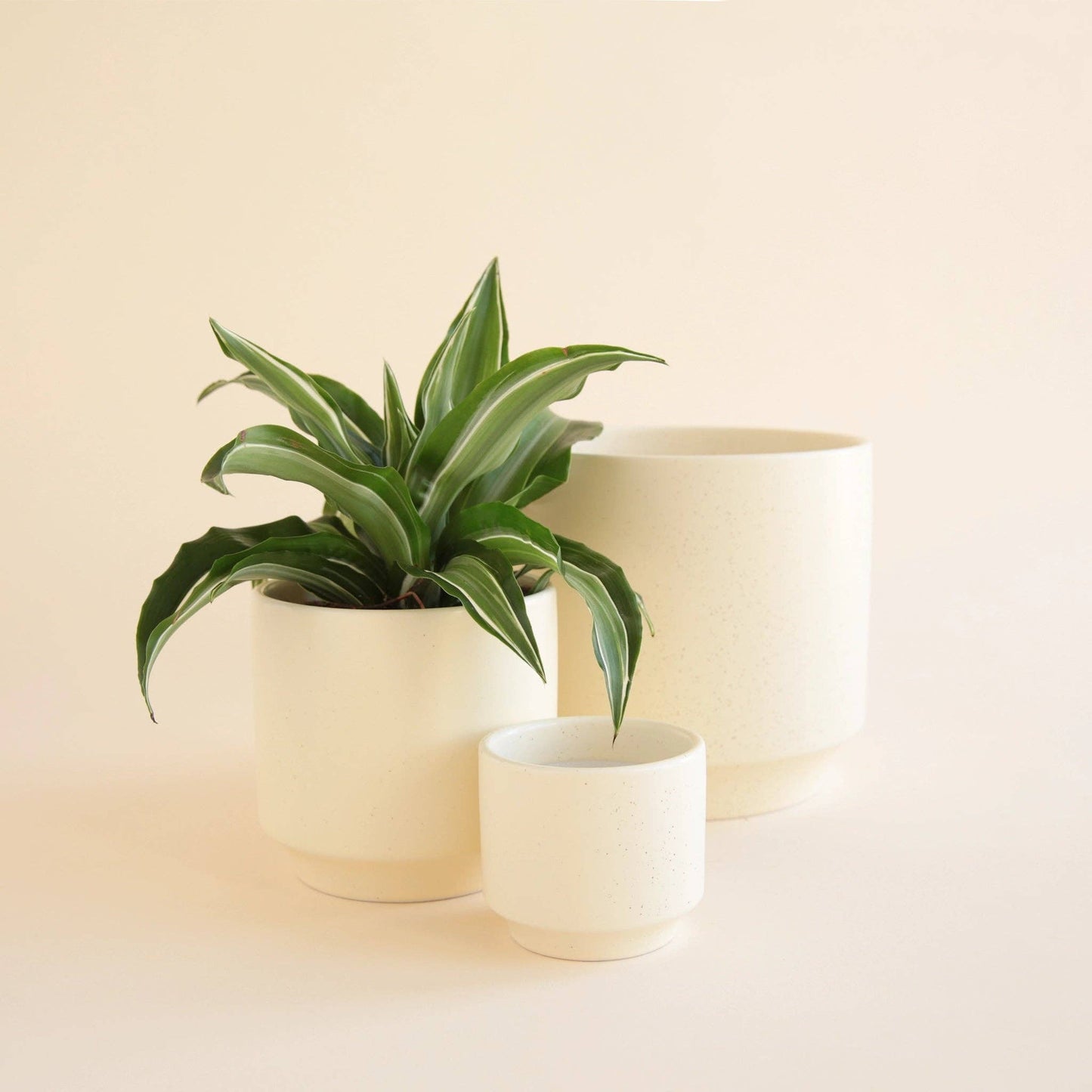 Parker Planter | Vintage White Speckle - The Plant Lady SF