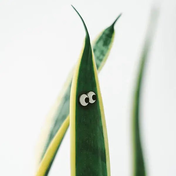 Plant Magnet Googly Eyes / Sunglasses 🧲 (Single) - The Plant Lady SF