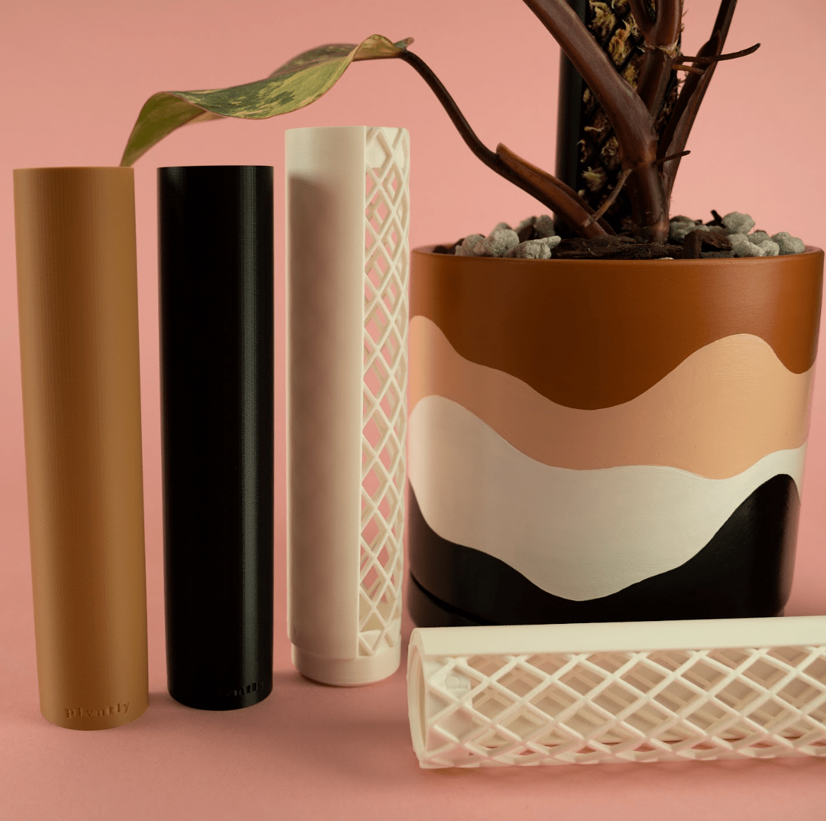 Plvntly Moisture Guard - The Plant Lady SF