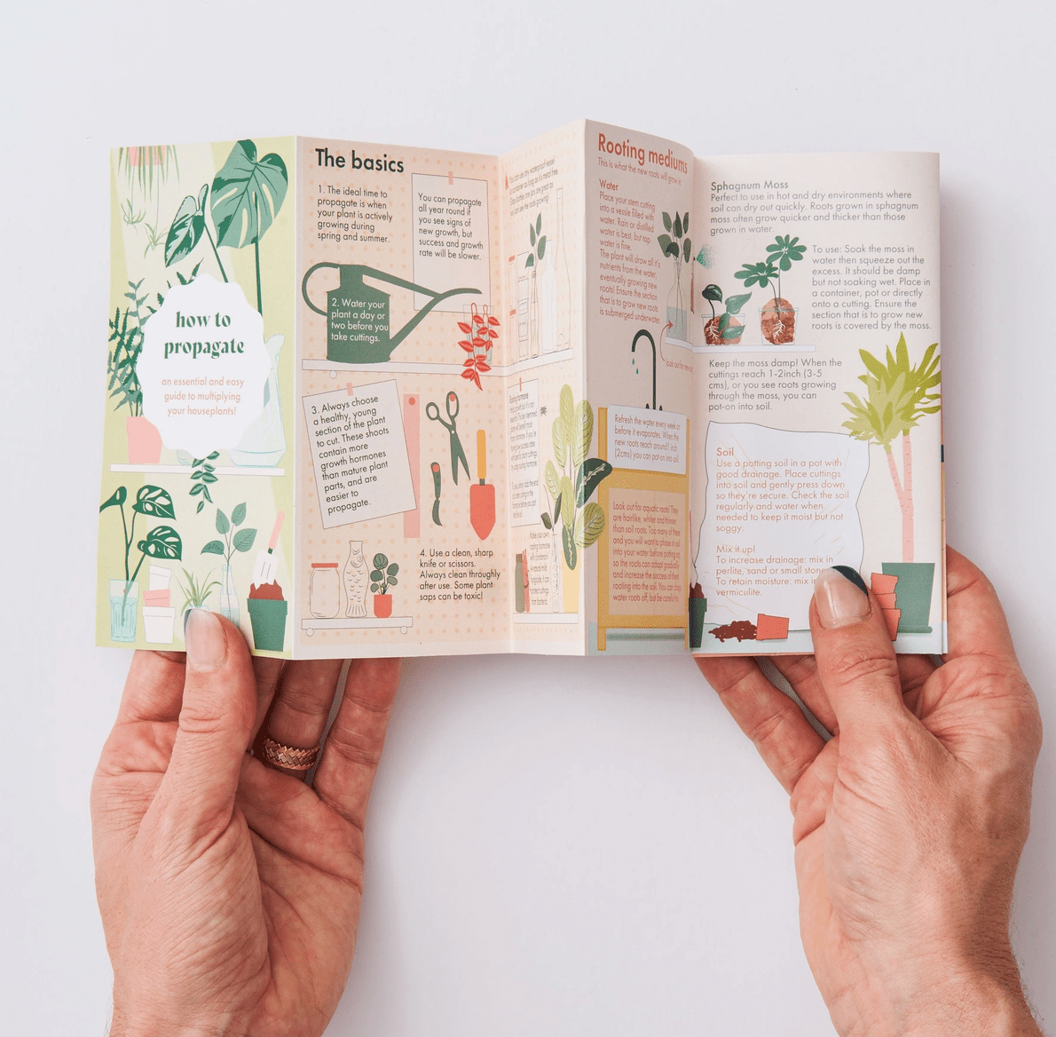 Propagation Plant Pocket Guide - The Plant Lady SF