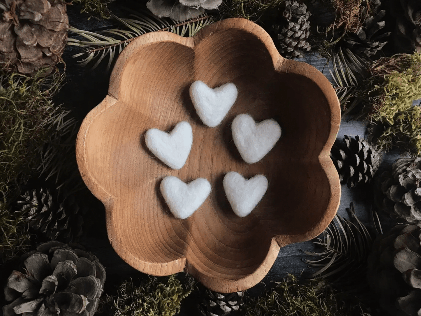 Felt Wool Hearts - The Plant Lady SF