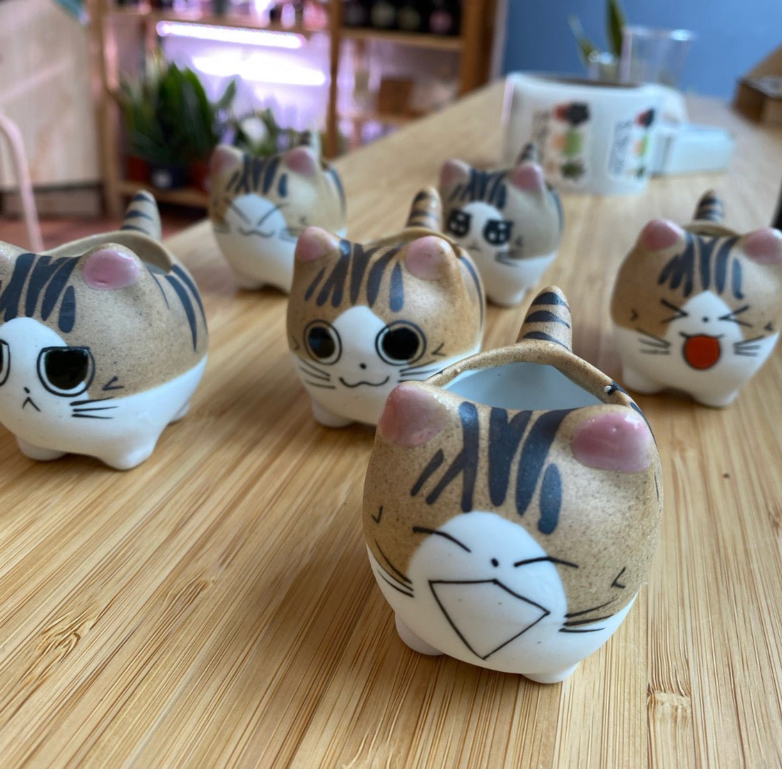 Mini Cat Planters