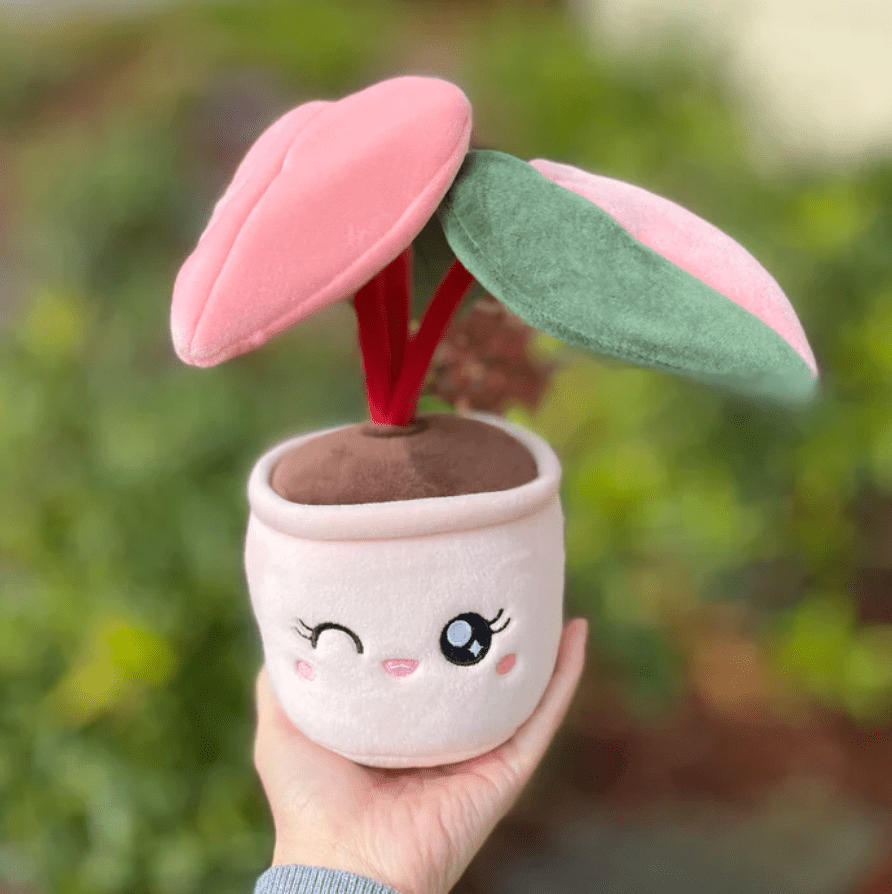 pink princess house plant Pink Princess Plushie by Blushiez – The Plant Lady SF