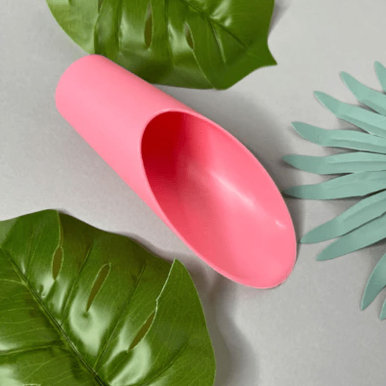 Plant Scoop - The Plant Lady SF