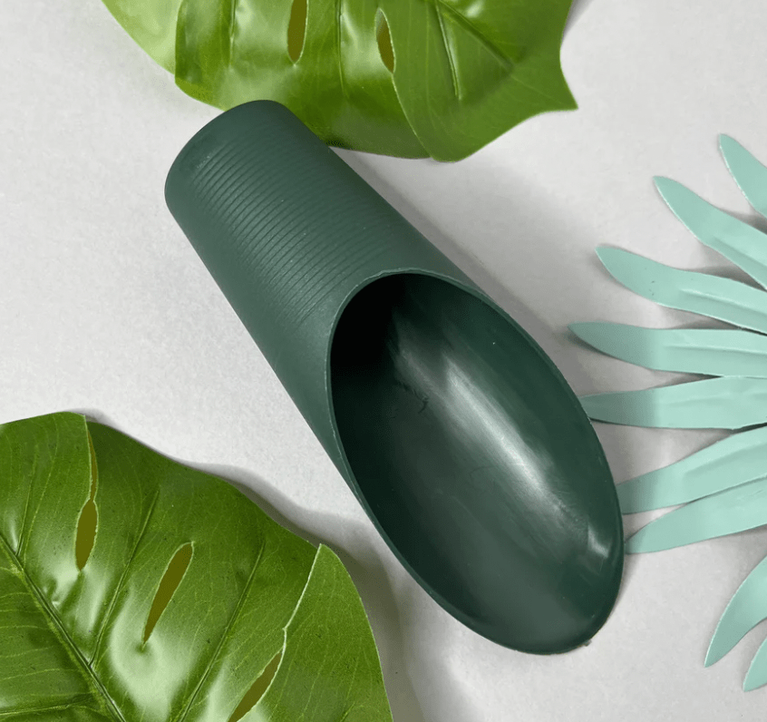 Plant Scoop - The Plant Lady SF