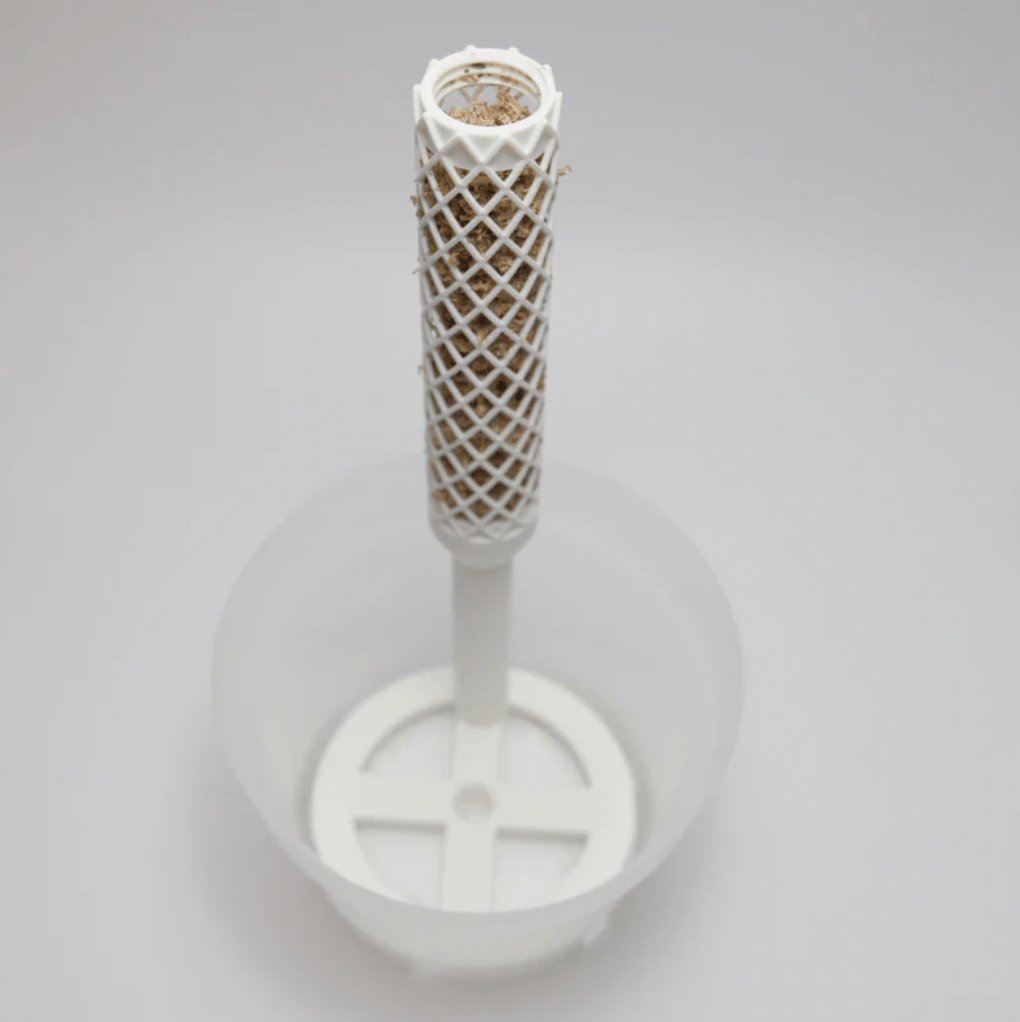 Plvntly Anchor Base Kits - The Plant Lady SF