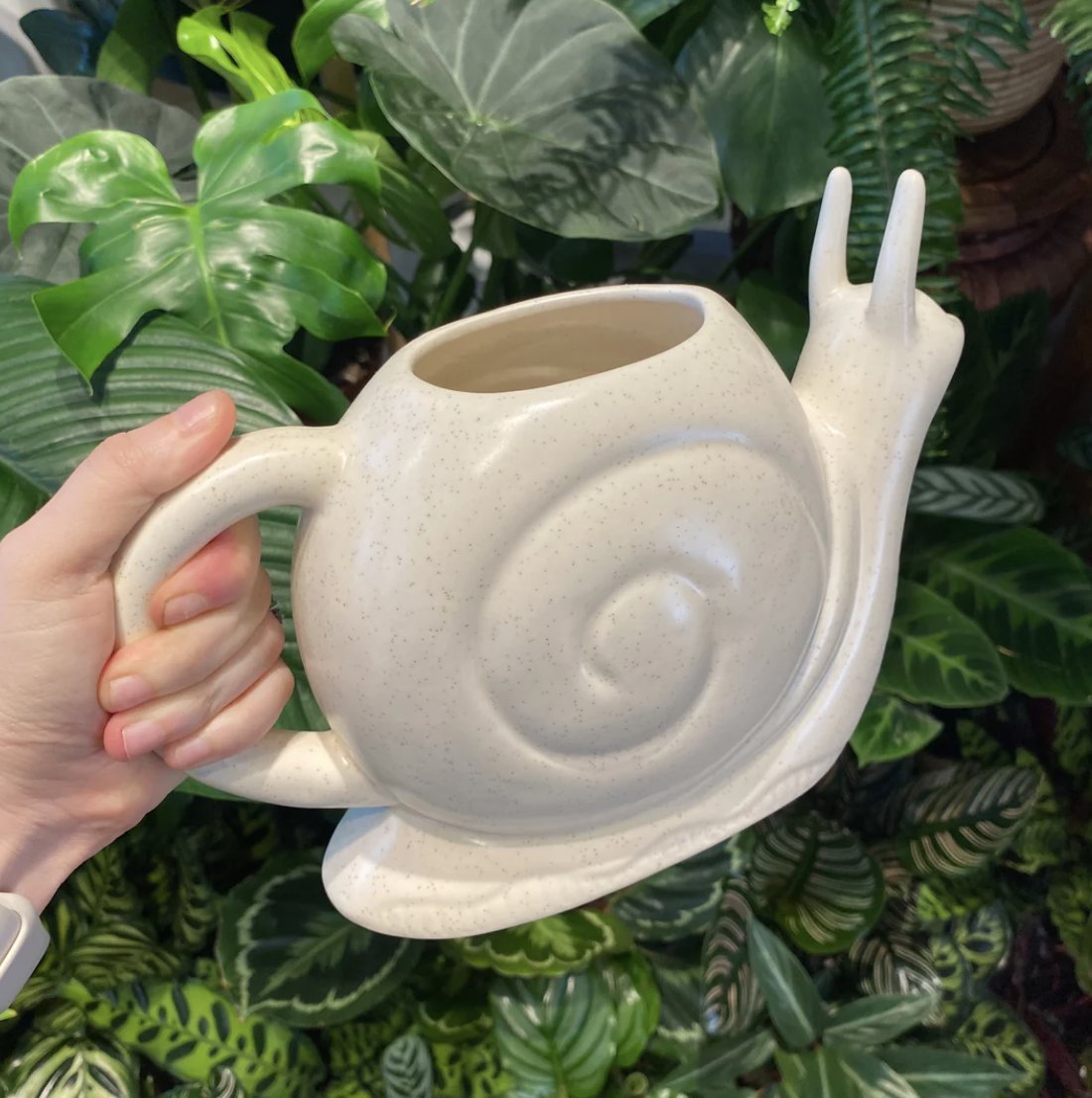 Accessories - The Plant Lady SF