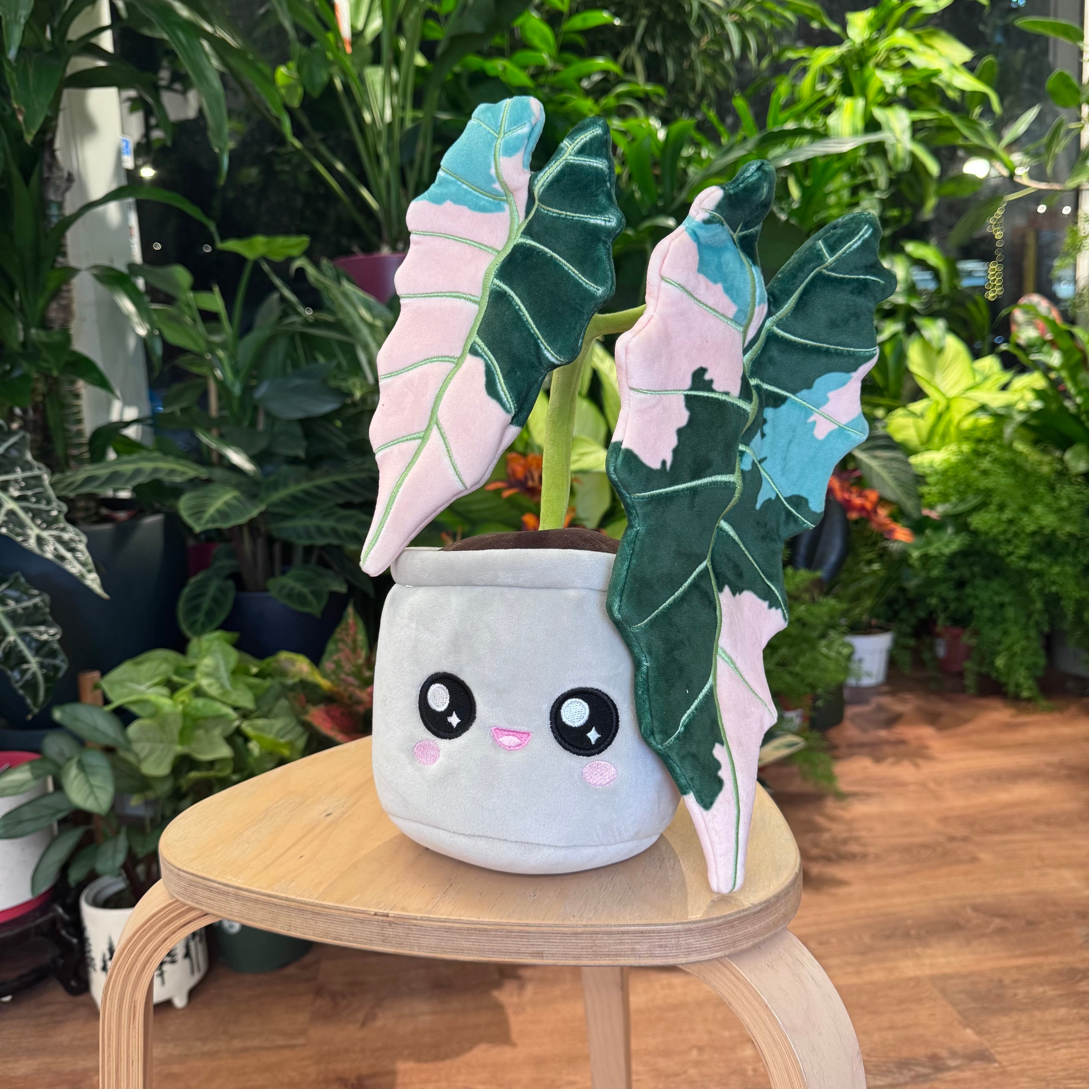 Variegated Alocasia Plushie by Blushiez