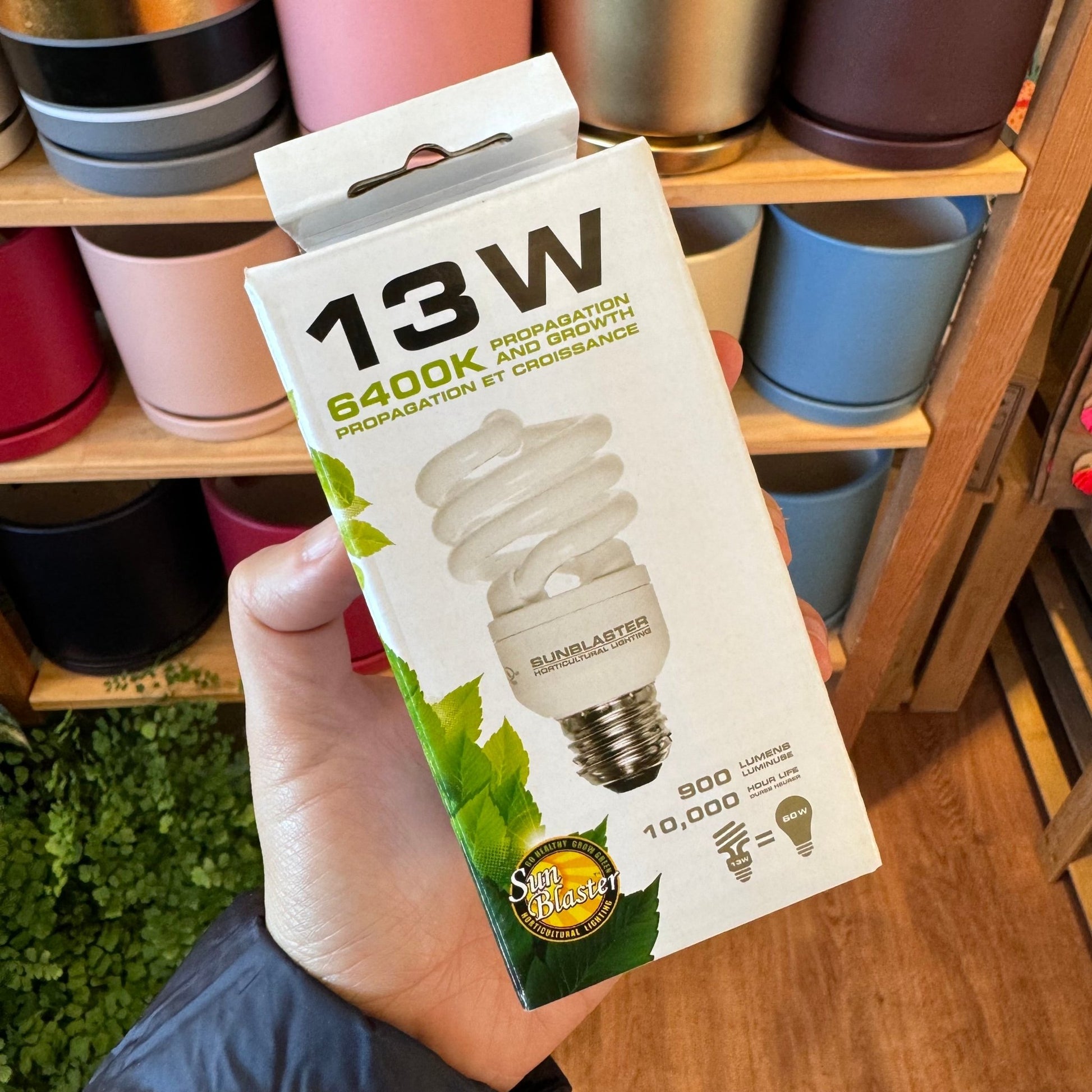 compact fluorescent grow light bulbs 13 Watt Grow Bulb