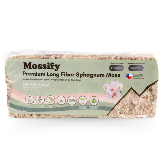 Premium Long Fiber Sphagnum Moss from Mossify - 150g