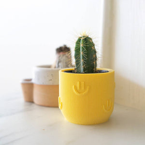 Yellow Joy Plant Pot