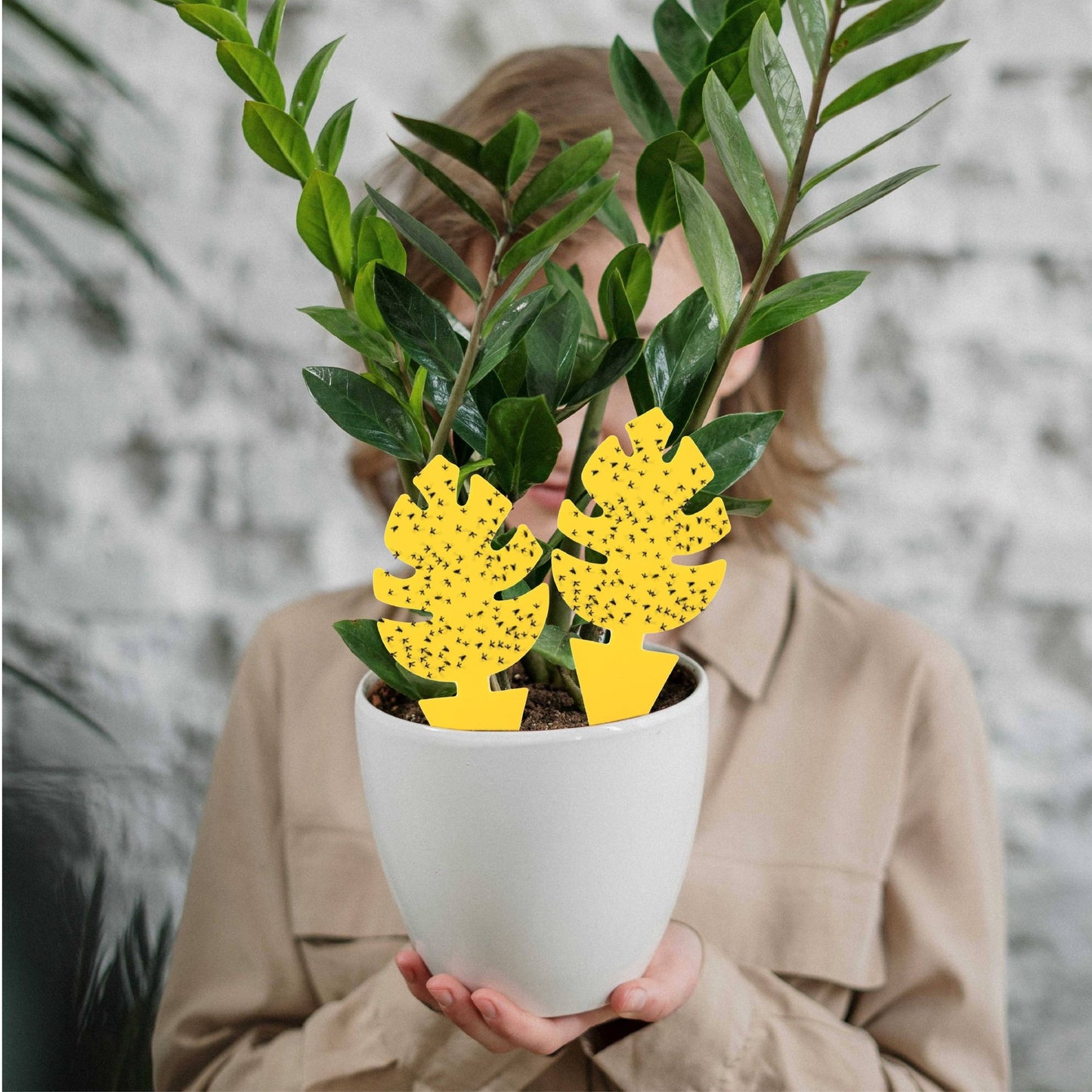 30 Pcs Per Pack Monstera Leaf Yellow Sticky Traps for Gnats - The Plant Lady SF