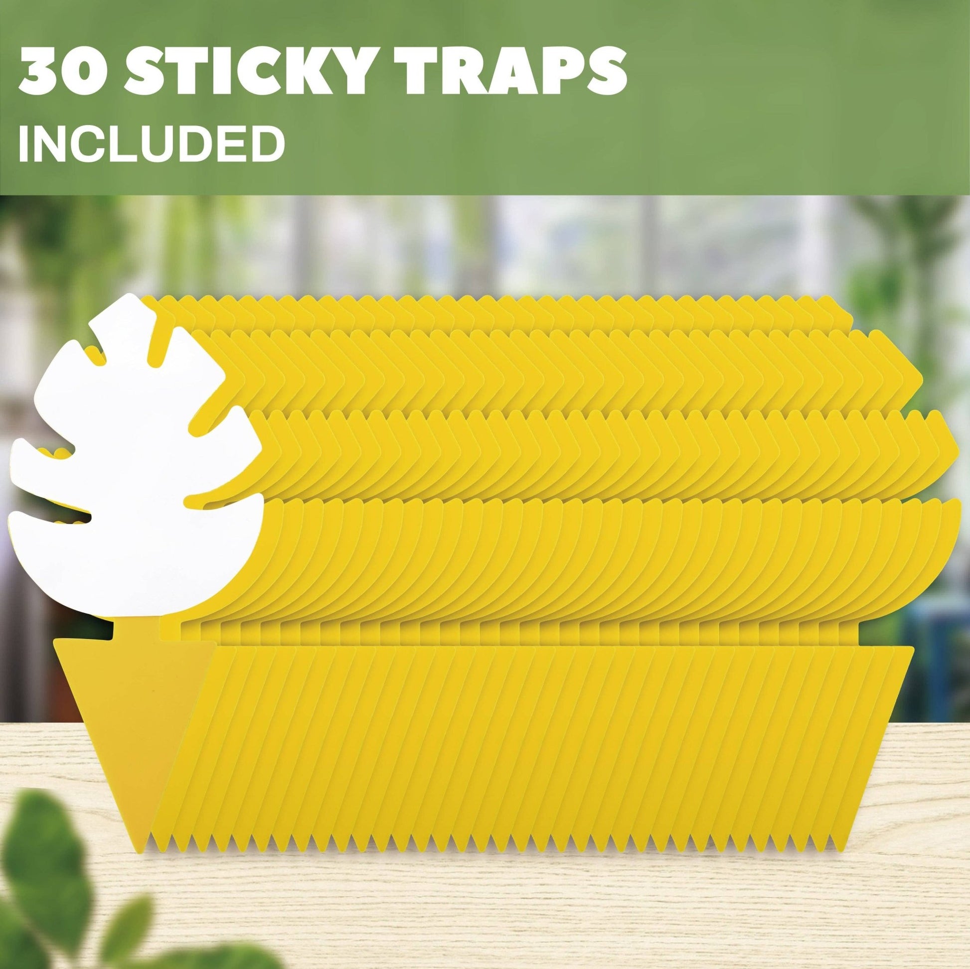 30 Pcs Per Pack Monstera Leaf Yellow Sticky Traps for Gnats - The Plant Lady SF