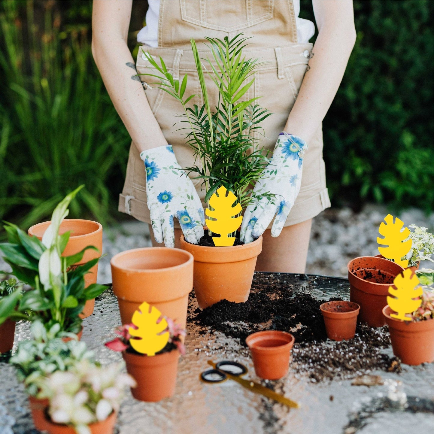 30 Pcs Per Pack Monstera Leaf Yellow Sticky Traps for Gnats - The Plant Lady SF