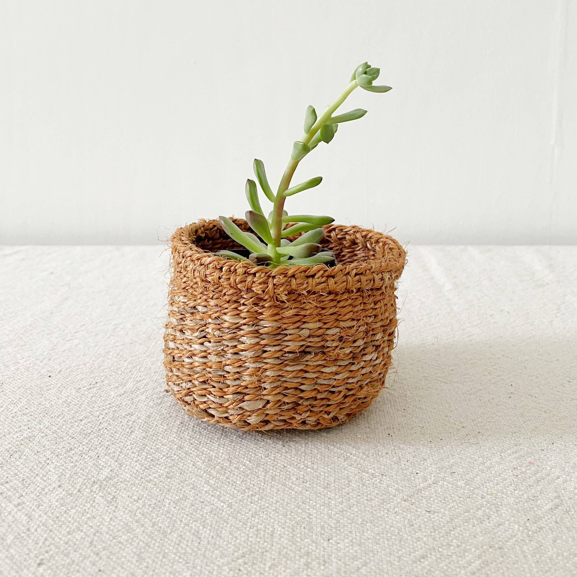 Amsha Plant Basket: Ochre Mix: