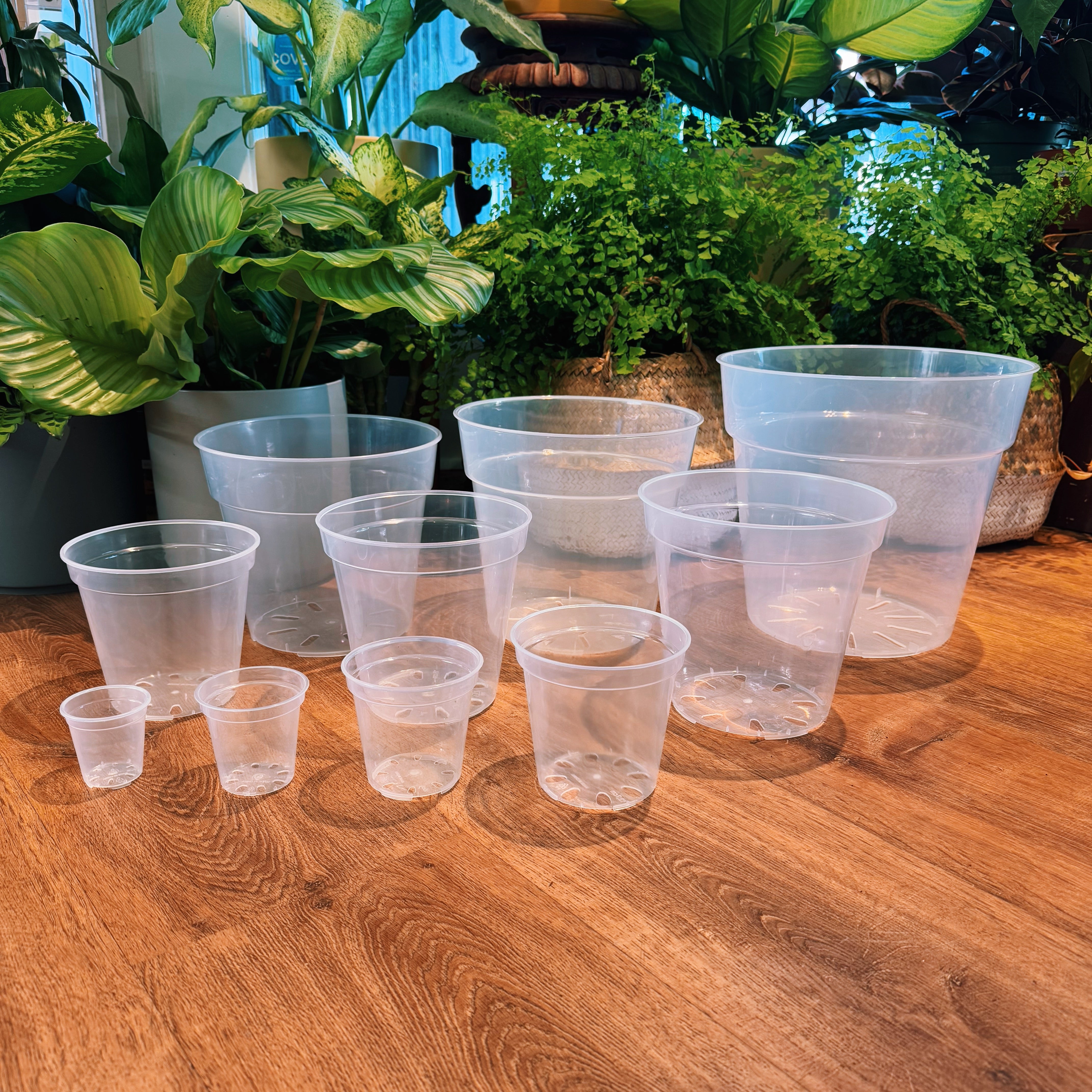 Clear Plastic Nursery Pots