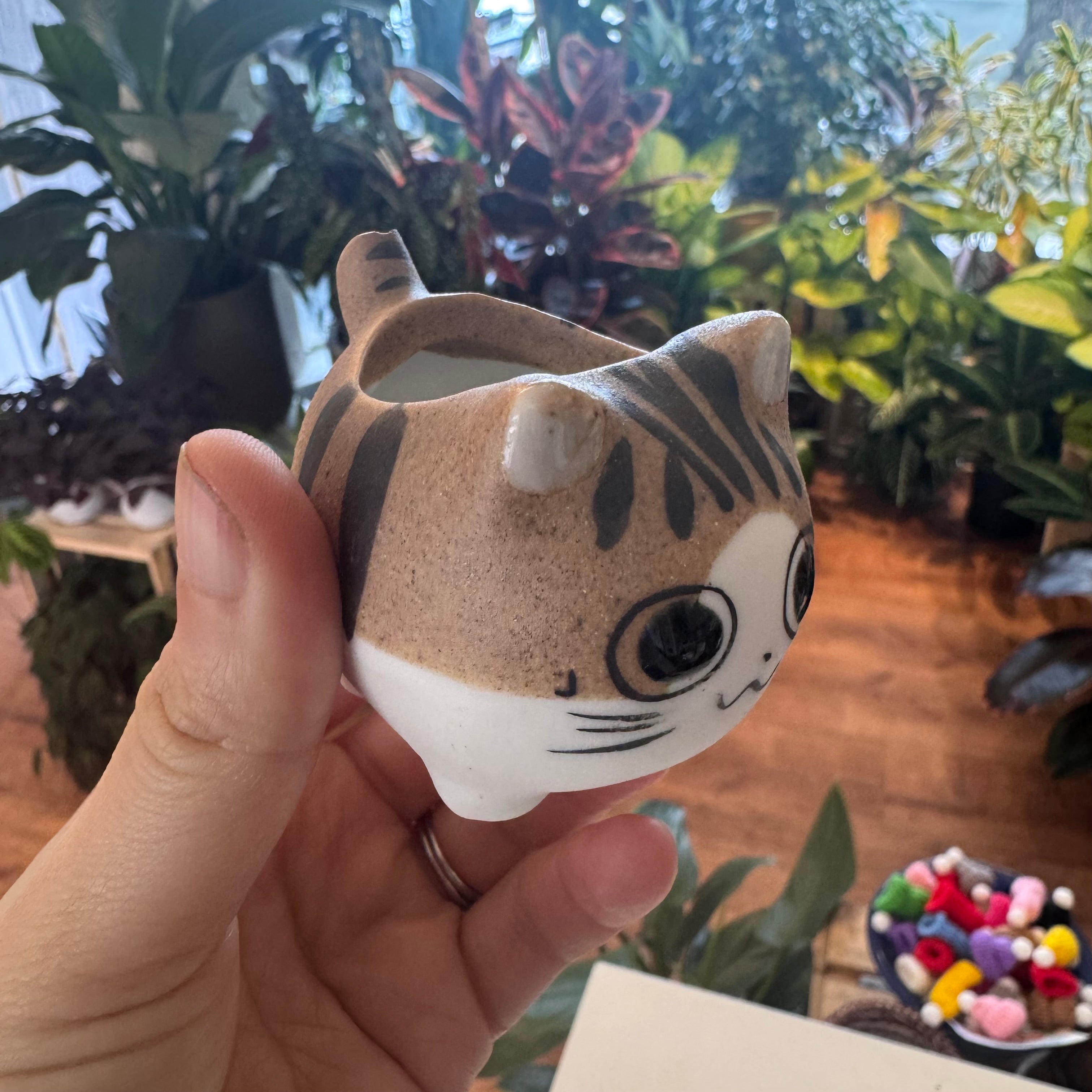 Imperfect Cat Planter (assorted)