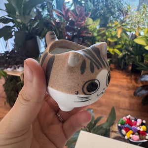 Imperfect Cat Planter (assorted)