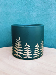 Midwinter Fern Pot