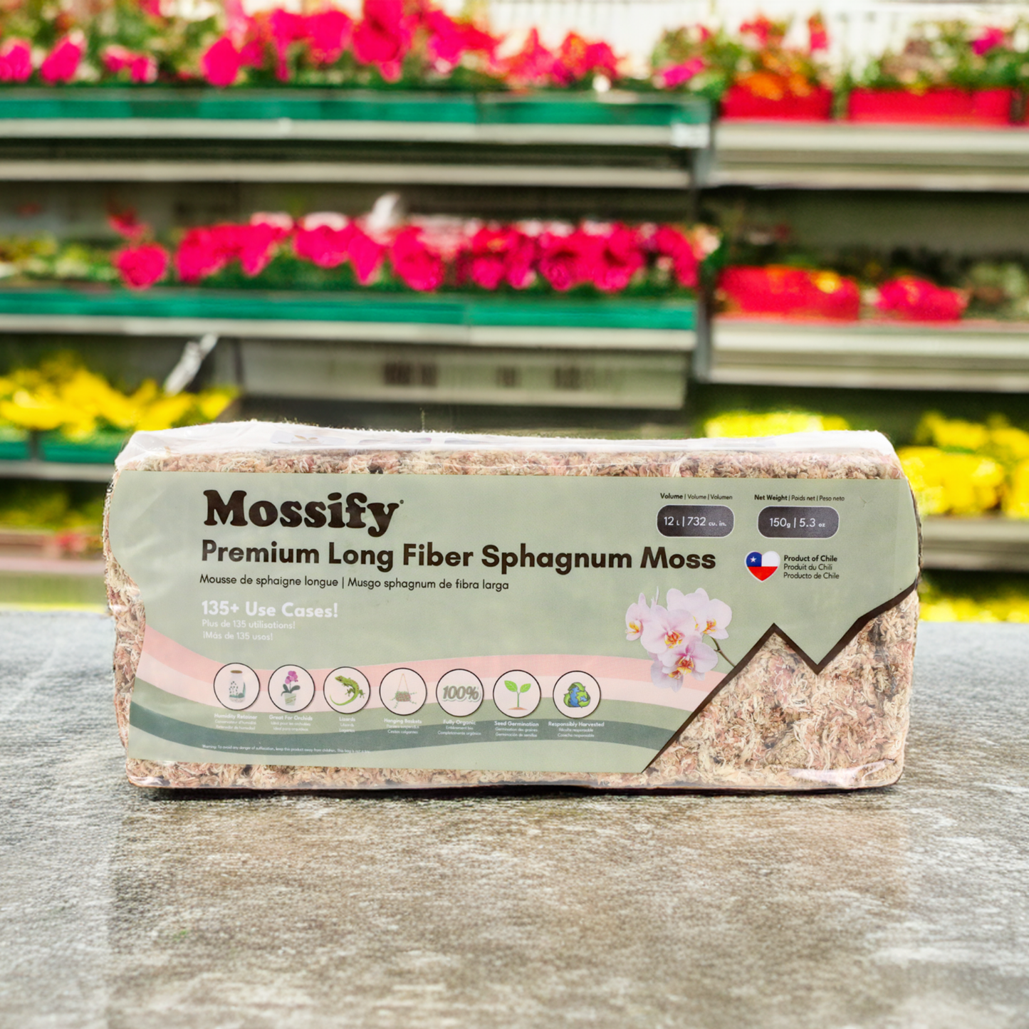 Premium Long Fiber Sphagnum Moss from Mossify - 150g