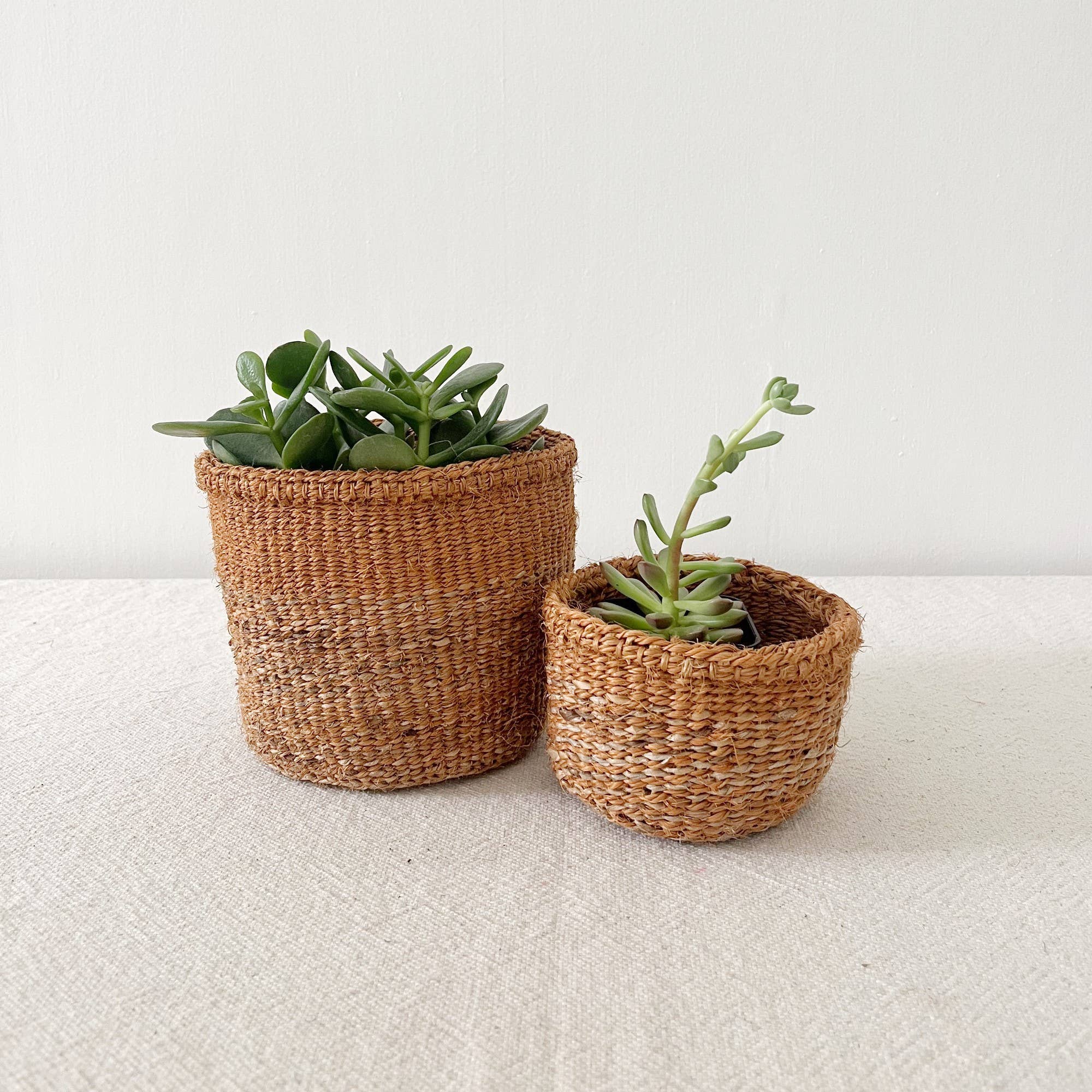 Amsha Plant Basket: Ochre Mix: