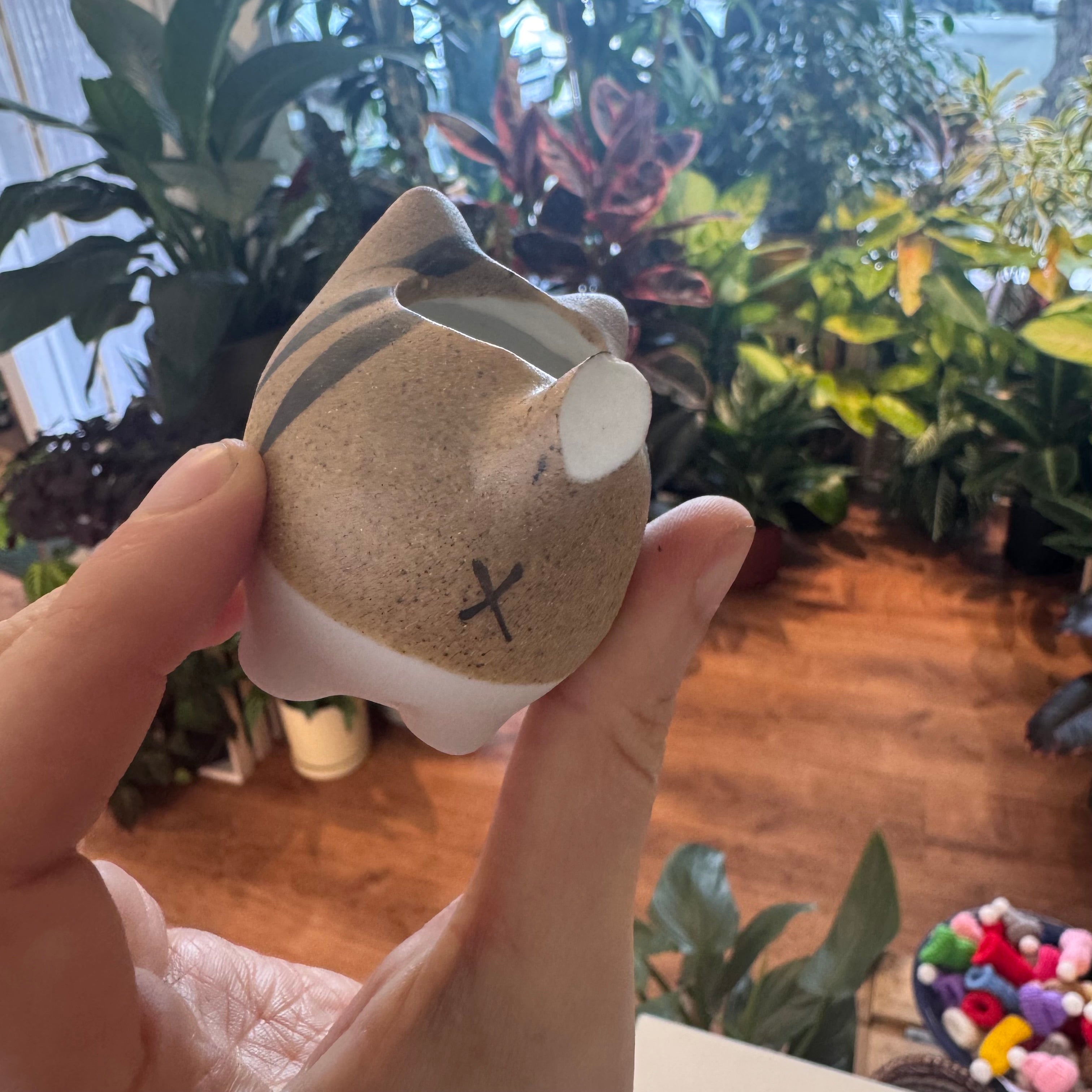 Imperfect Cat Planter (assorted)