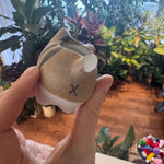 Load image into Gallery viewer, Imperfect Cat Planter (assorted)
