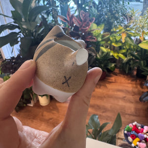 Imperfect Cat Planter (assorted)