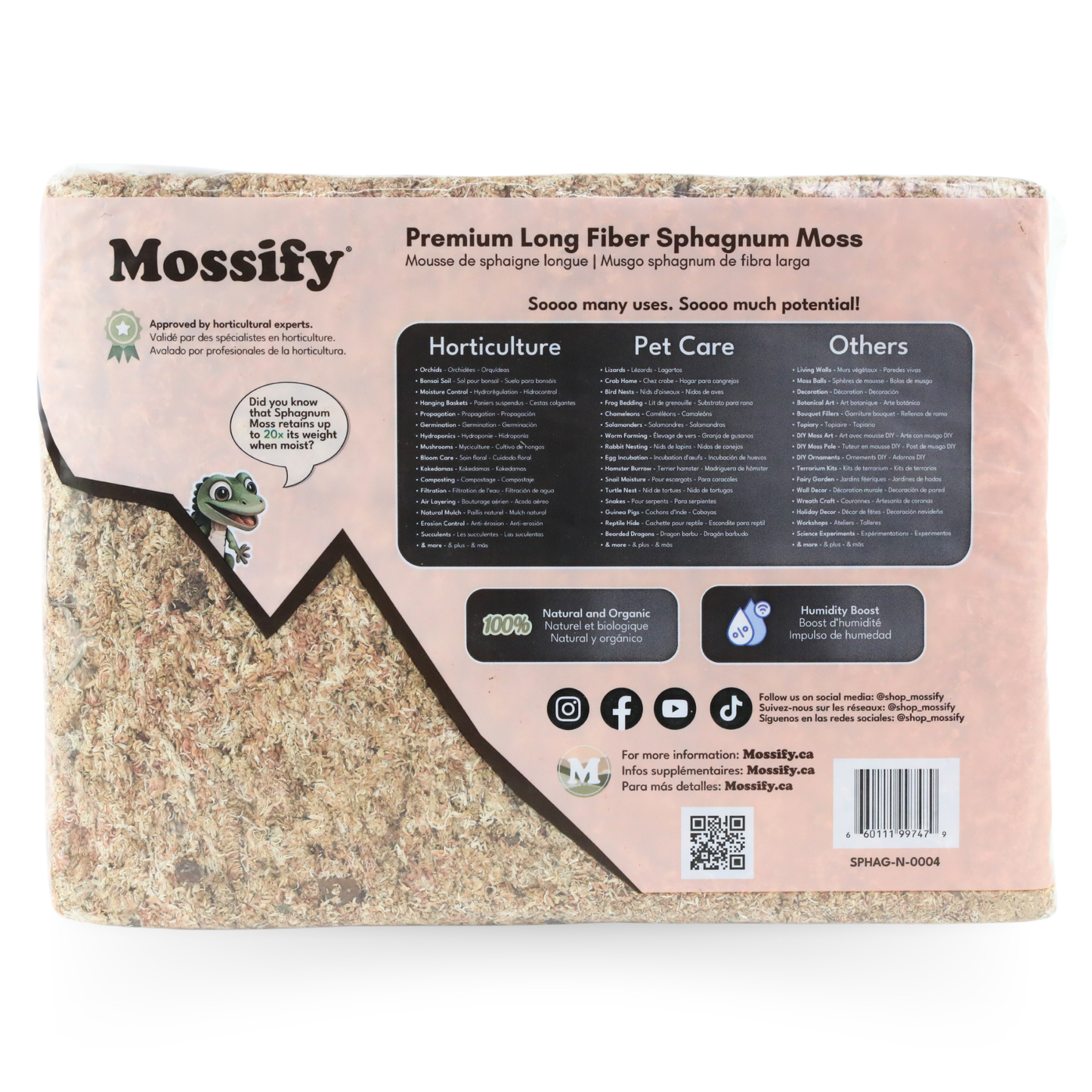 Premium Long Fiber Sphagnum Moss from Mossify - 150g