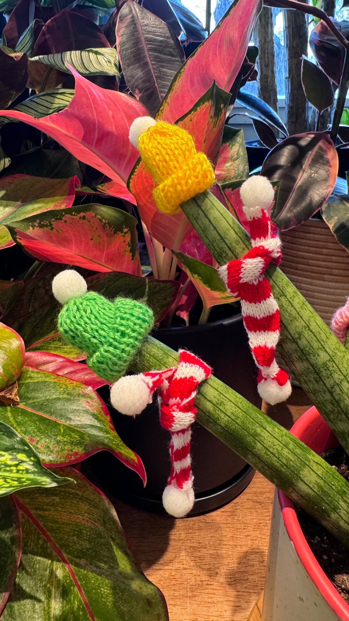 Mini Holiday Scarf