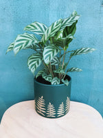 Load image into Gallery viewer, Midwinter Fern Pot
