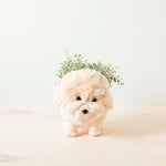 Load image into Gallery viewer, Puppy Pot - Handmade
