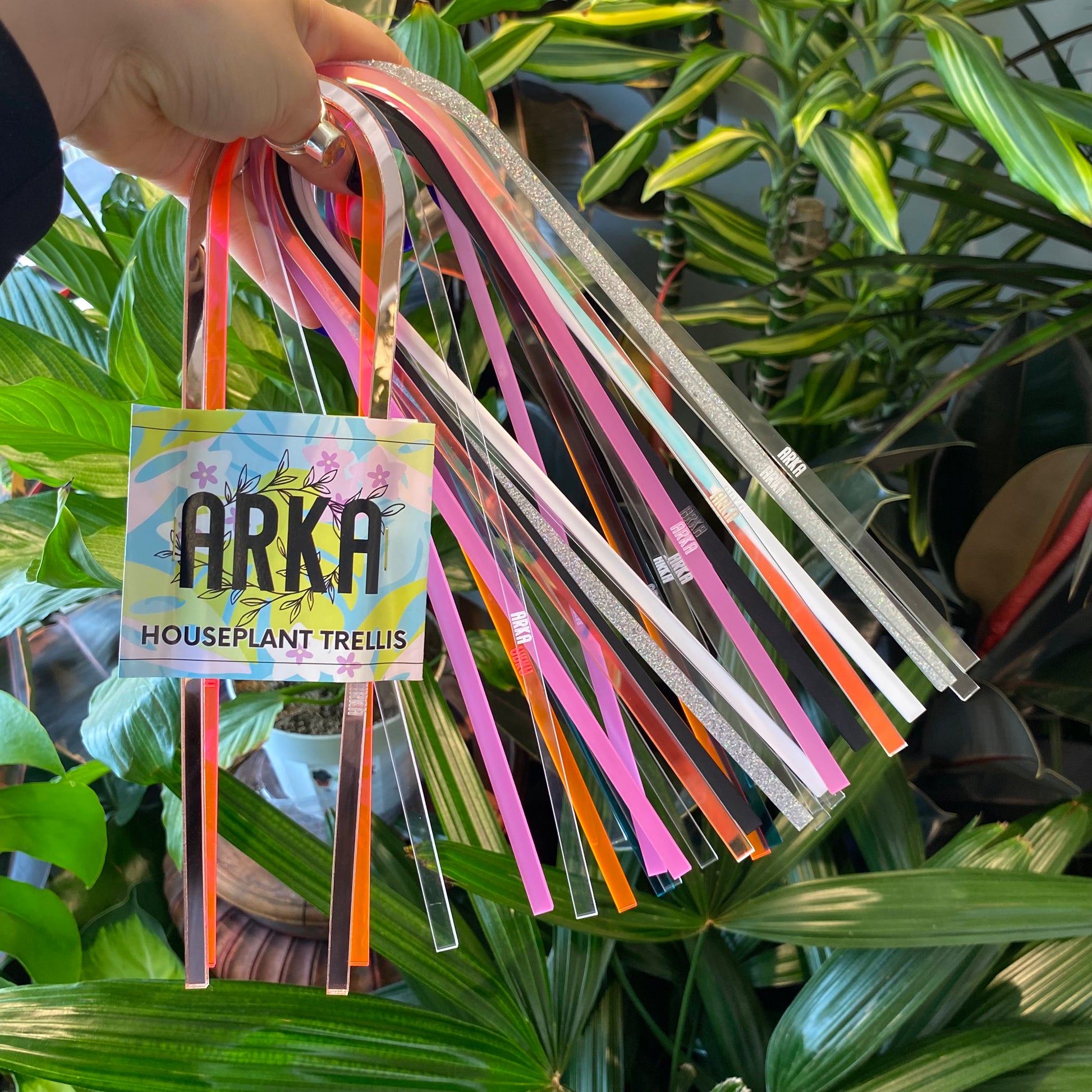 Arka Trellis 
