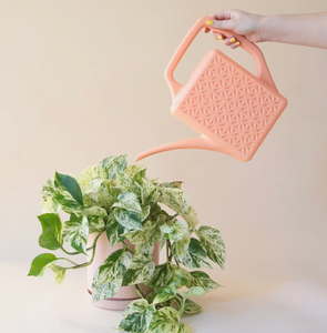 Peach colored watering can