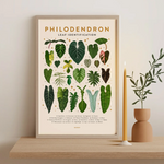 Load image into Gallery viewer, Philodendron Leaf Identification Poster
